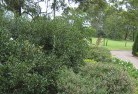 Cotswold Hillsresidential-landscaping-35.jpg; ?>